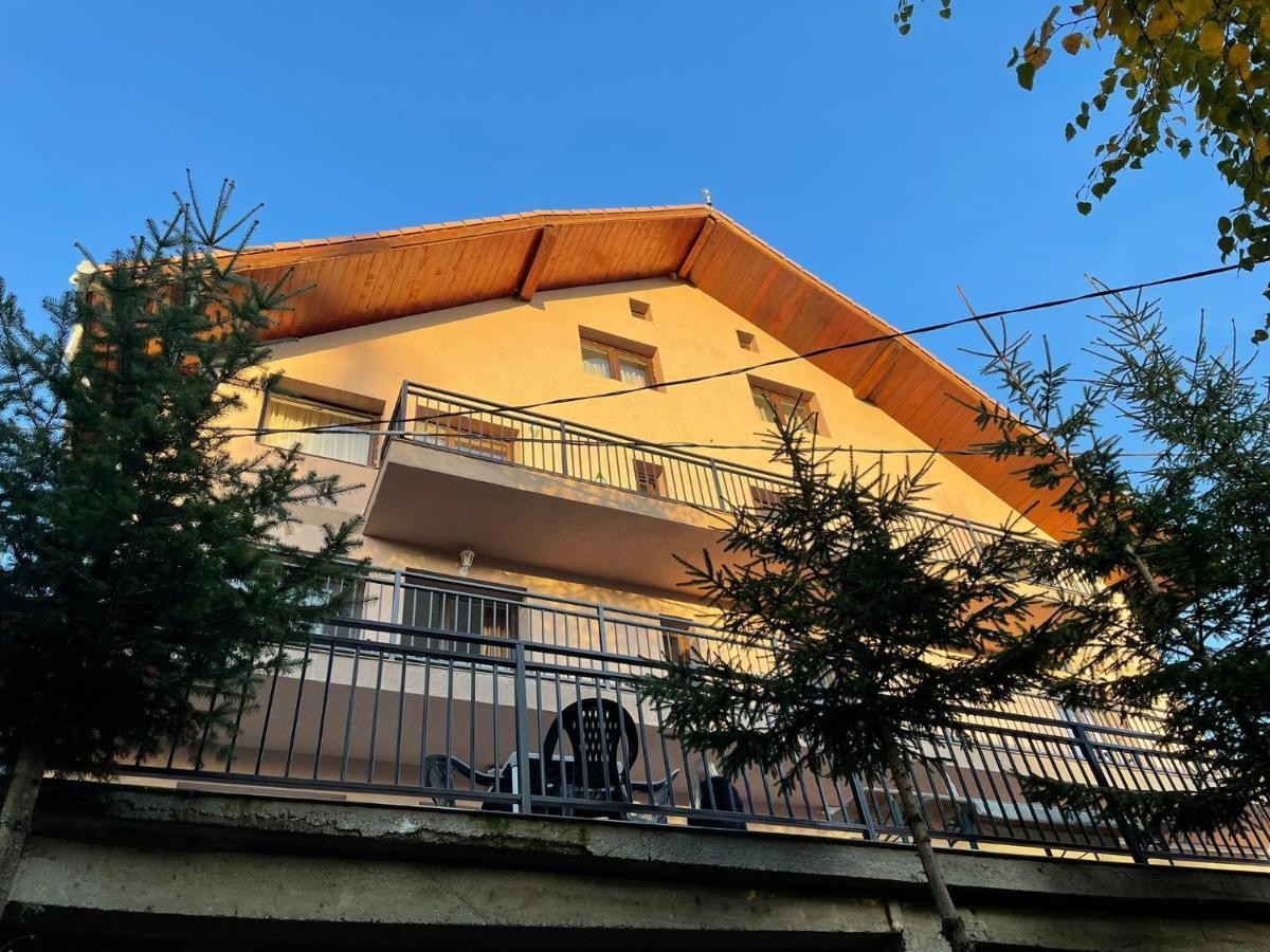 Pensiunea Joe Paltinis Exterior photo